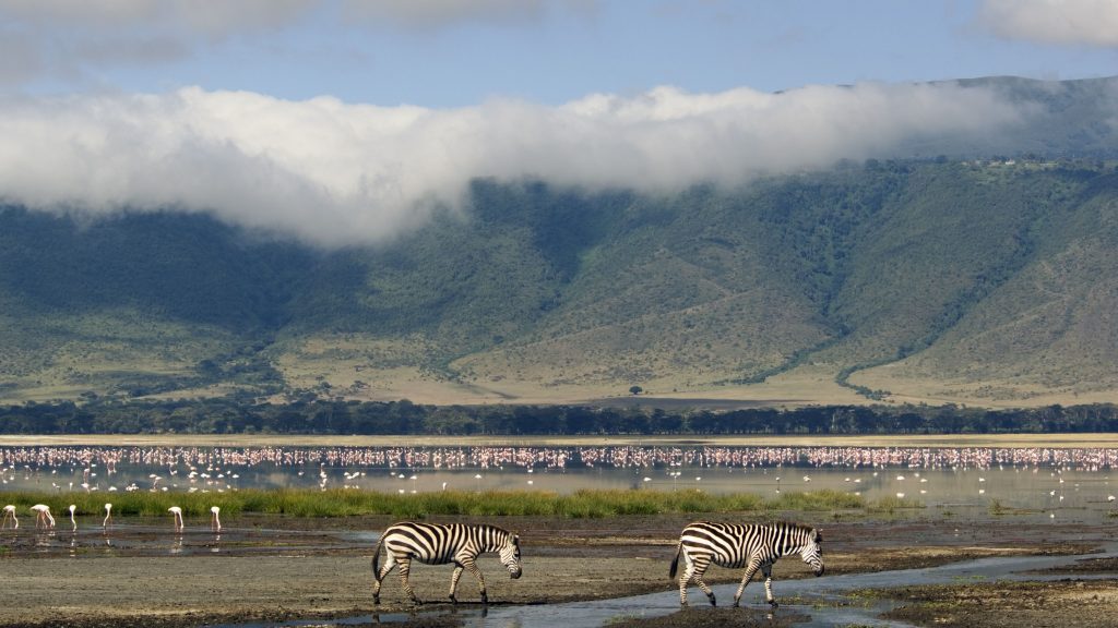 - Ngorongoro Conservation Area -