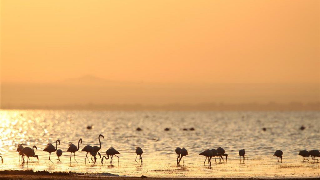 - Lake Manyara National Park -