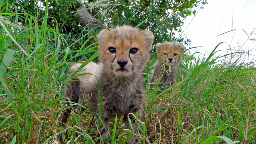- Serengeti National Park -