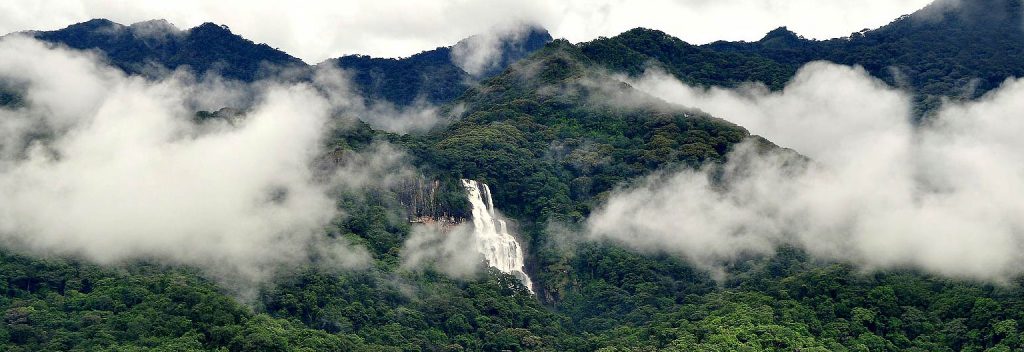 - Udzungwa National Park -
